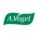 vogel